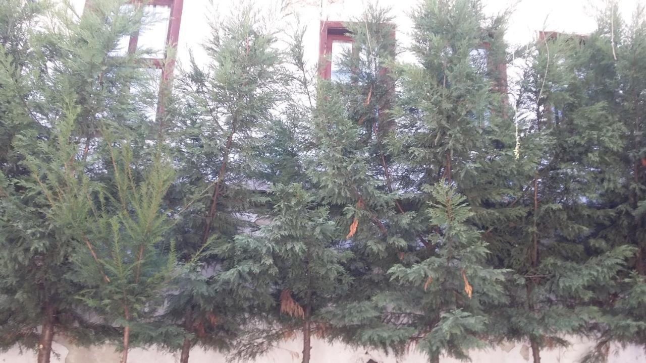 Nimet Hanim Konagi Saframbolu Exterior foto